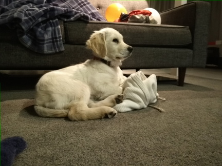 IMG_20160831_203131