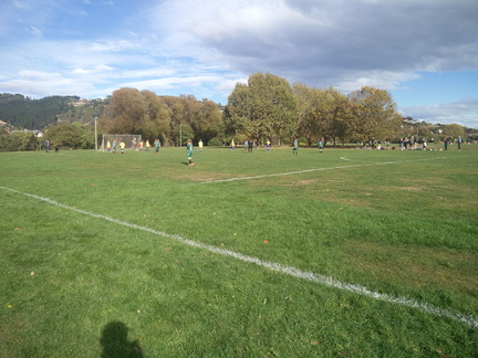 IMG_20190427_103259.jpg