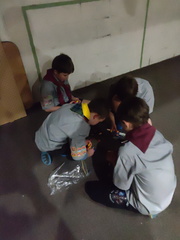 IMG_20200902_191235.jpg