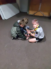 IMG_20200902_191228.jpg