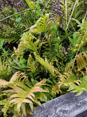 IMG_20201118_192114.jpg