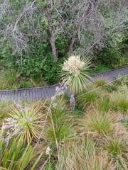 IMG_20201118_192312.jpg