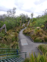 IMG_20201118_192315.jpg