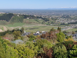 IMG_20200921_090019.jpg