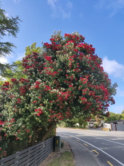 IMG_20201214_090849.jpg