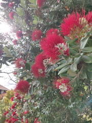 IMG_20201214_090858.jpg