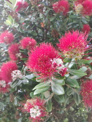 IMG_20201214_090901.jpg