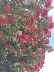 IMG_20201214_090904.jpg