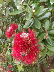 IMG_20201214_090916.jpg