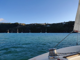 IMG_20210522_155814.jpg