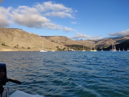 IMG_20210522_155808.jpg