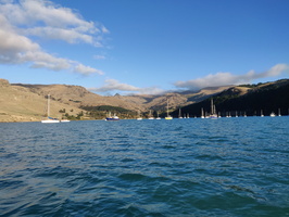 IMG_20210522_155750.jpg