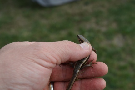 DSC_8308.JPG