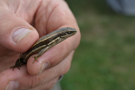 DSC_8315.JPG