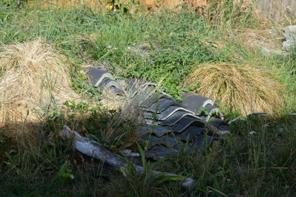 DSC_8329.JPG