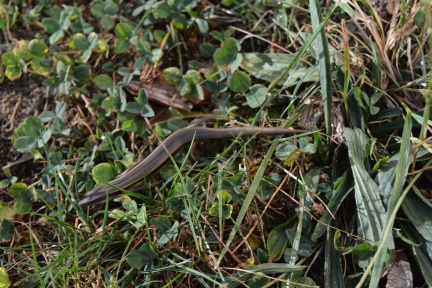 DSC_8334.JPG