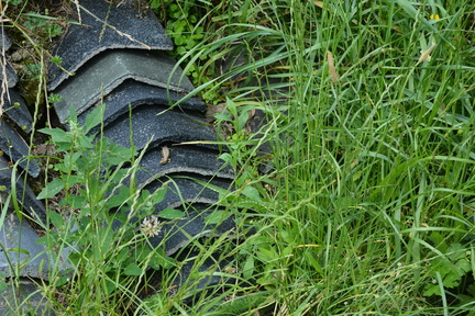 DSC_9192.JPG