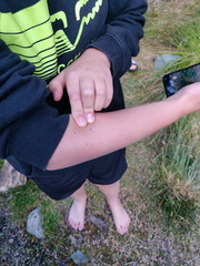 IMG_20230416_144619_1.jpg