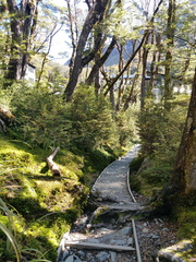 IMG_20230416_130518_1.jpg