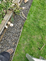 IMG_20230507_135859.jpg