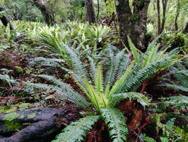 img_20240120_090224.jpg