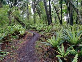 img_20240120_090220.jpg