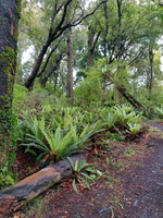 img_20240120_090216.jpg