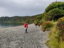 img_20240120_081647.jpg