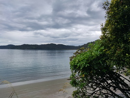 img_20240119_123619.jpg