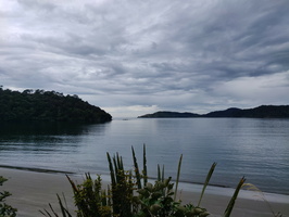 img_20240119_123616.jpg