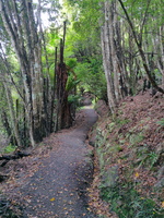 img_20240119_102631.jpg