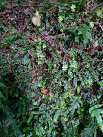 img_20240119_100754.jpg