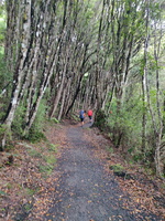 img_20240119_100700.jpg