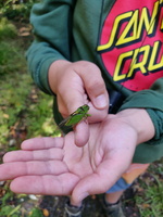 img_20240117_120104.jpg