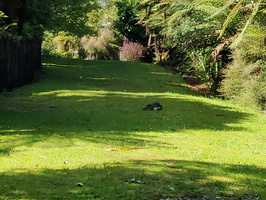 img_20240117_120015.jpg