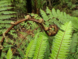 img_20240116_110154.jpg
