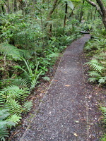img_20240116_095830.jpg
