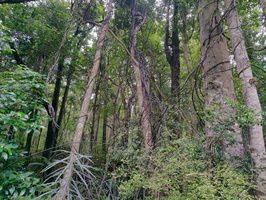 img_20240116_095244.jpg