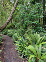 img_20240116_095240.jpg