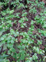img_20240116_094735.jpg