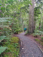 img_20240116_094212.jpg