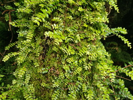 img_20240116_090221.jpg