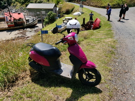 img_20240115_131701.jpg