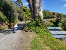 img_20240115_131655.jpg
