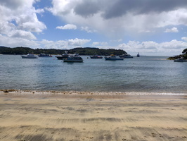 img_20240115_130320.jpg
