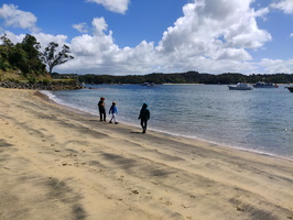 img_20240115_130317.jpg