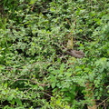 img_20240412_145935.jpg