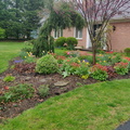 img_20240412_090826.jpg