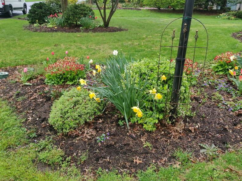 img_20240412_090809.jpg