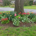 img_20240412_090800.jpg
